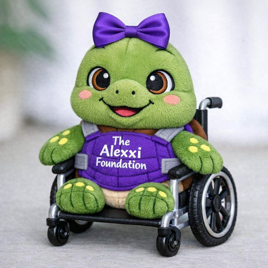 Campaign cover image for Battle of the Board: The Turtle Shell Showdown for Spinal Cord Injury