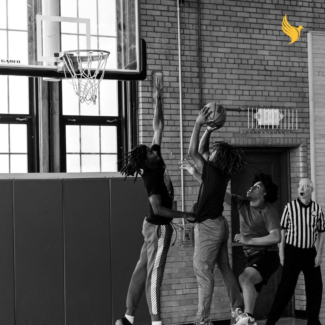 Campaign cover image for Open House 2025