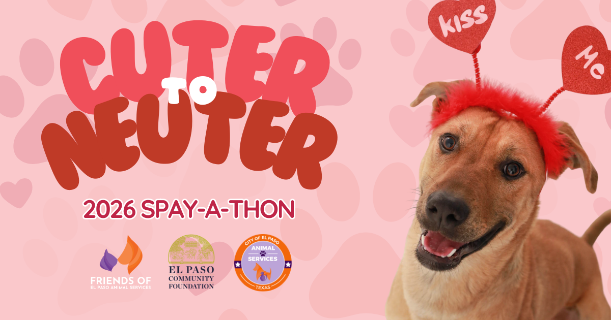 Campaign cover image for Spring 2026 Spay-A-Thon