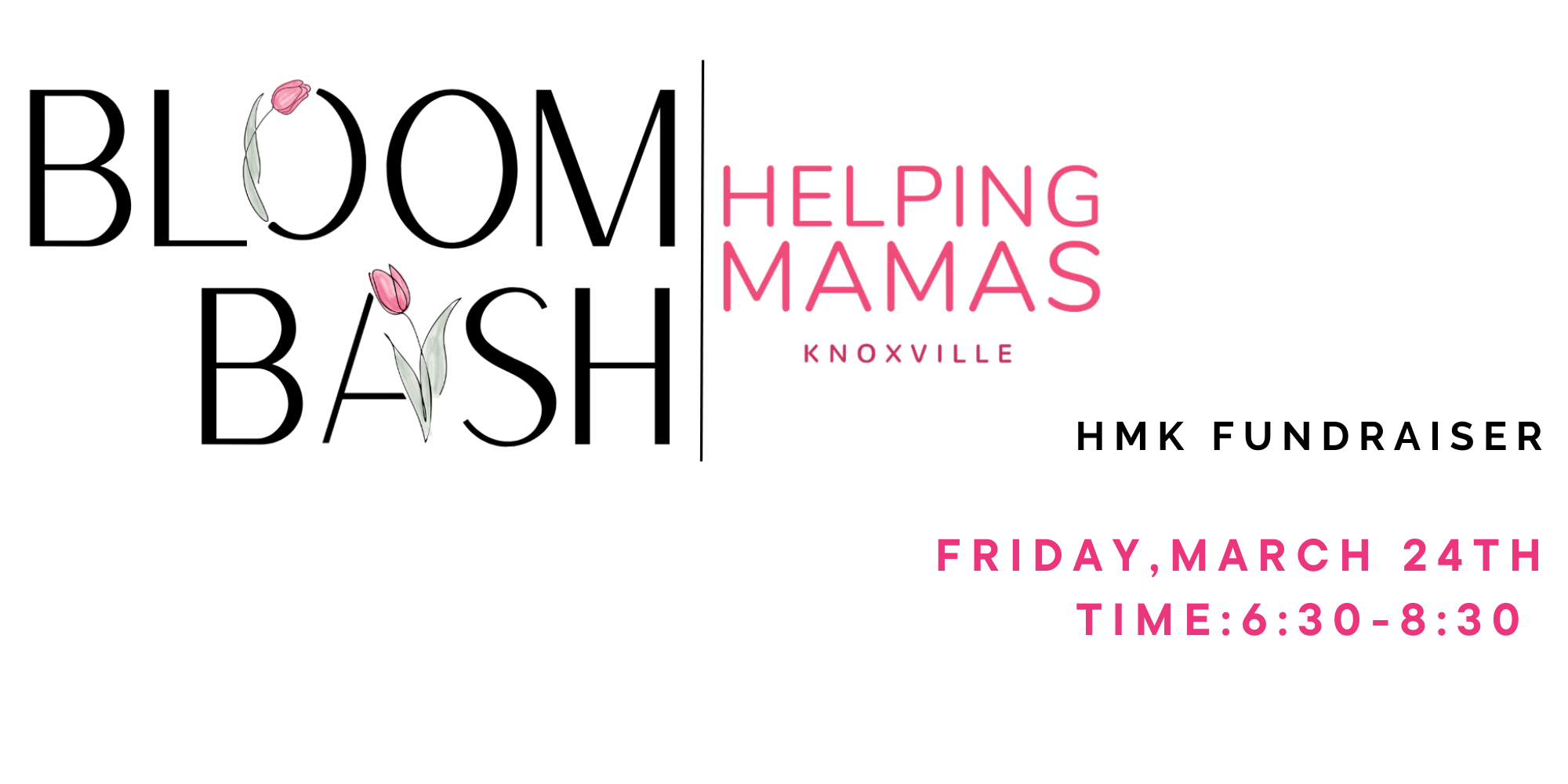 Campaign cover image for Helping Mamas Bloom Bash 2023