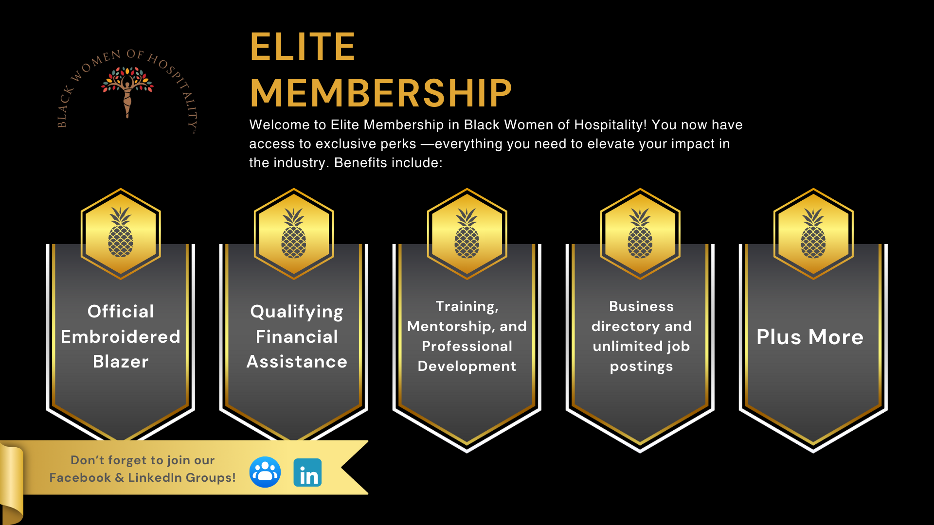 Campaign cover image for Elite Membership