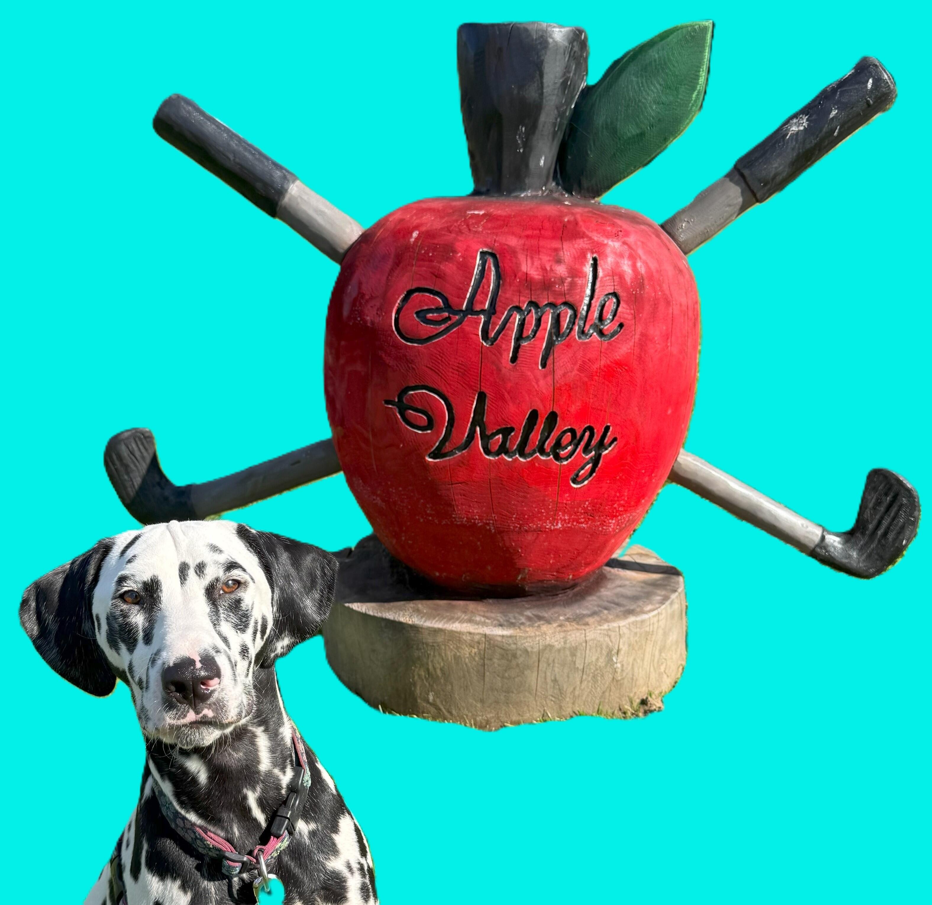 Campaign cover image for Ember's Invitational Golf Tournament & Fundraiser