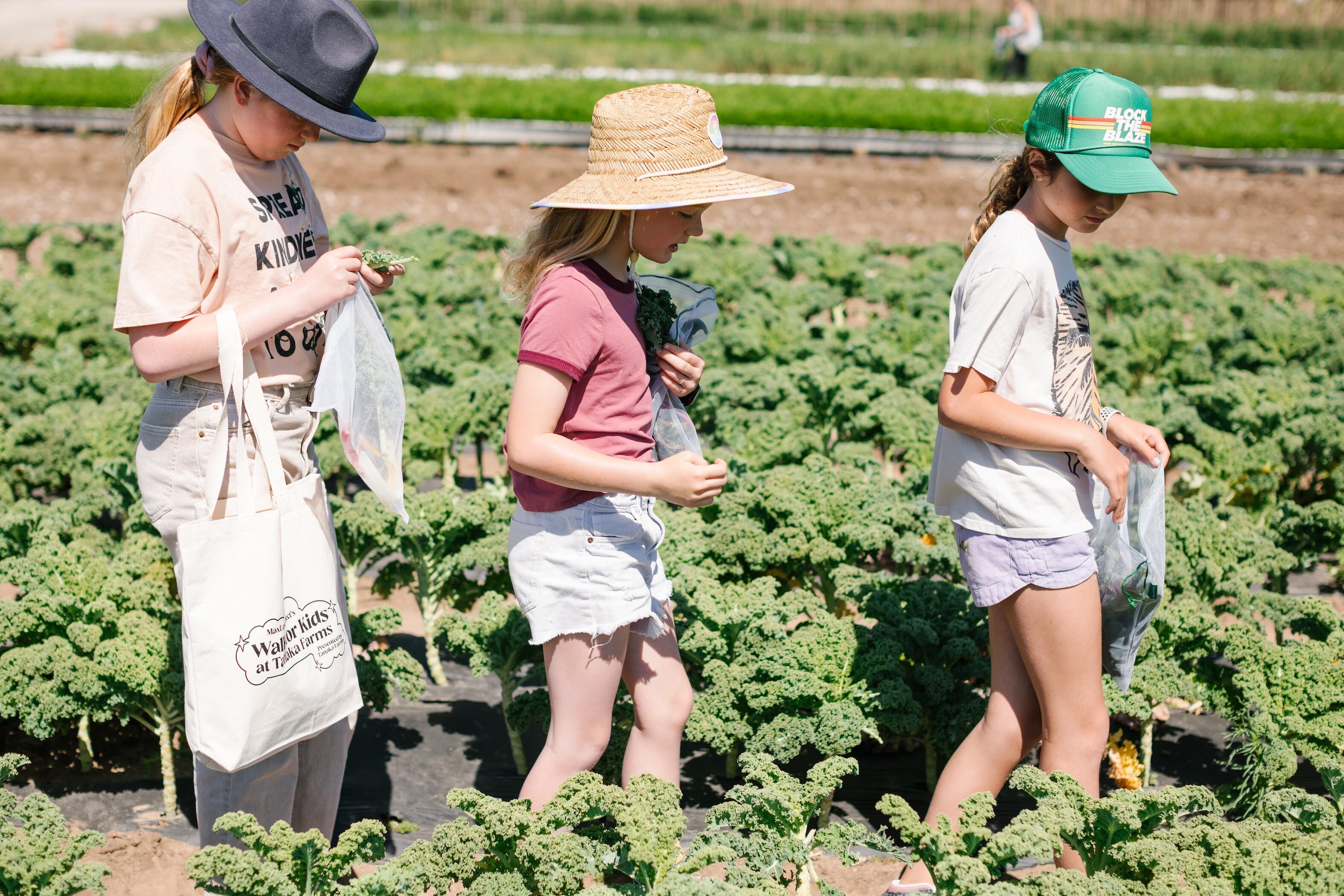 Campaign cover image for MaxLove Project's Walk for Kids