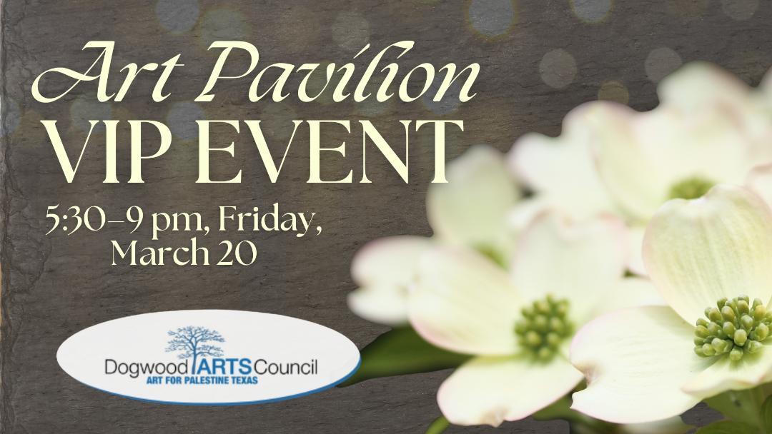 Campaign cover image for VIP Art Event 2026