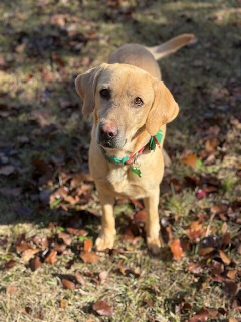 Campaign cover image for Bella Berry HW+