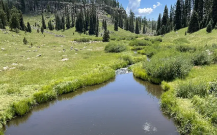 Campaign cover image for AZ-Thompson Trail #629