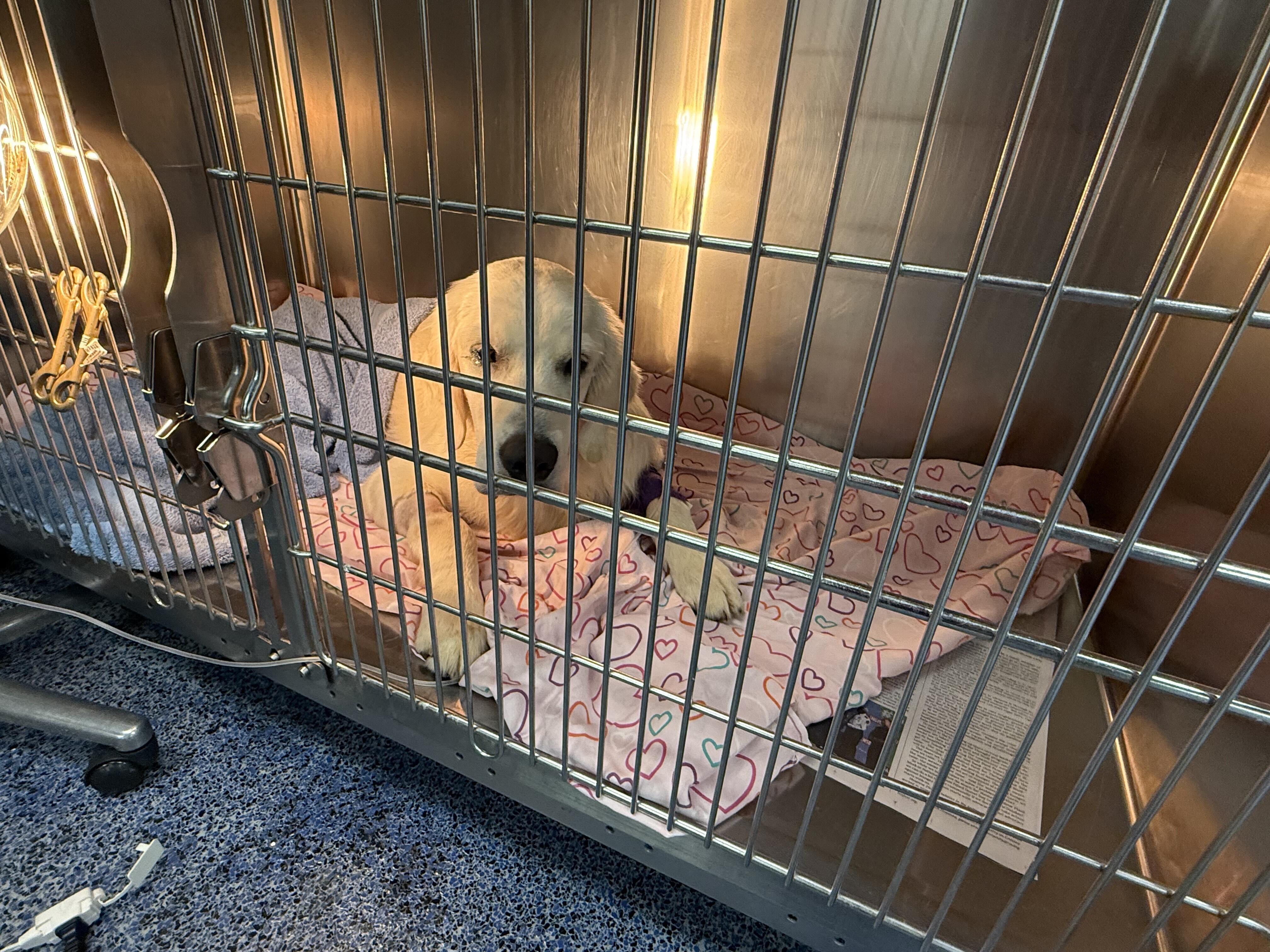 Campaign cover image for Hemi