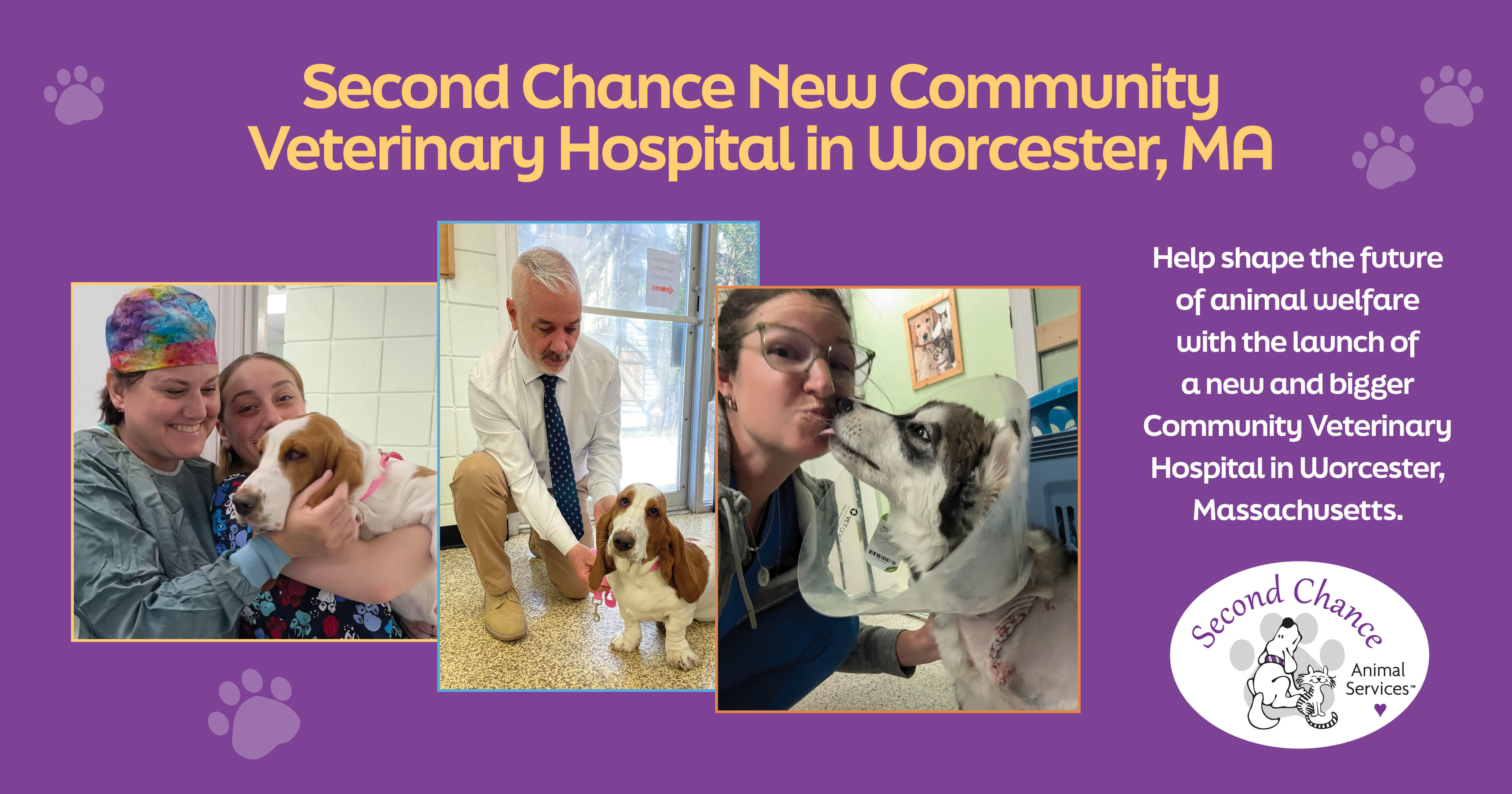 Campaign cover image for Worcester Hospital Expansion