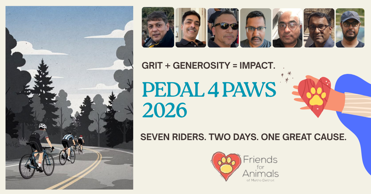 Campaign cover for Pedal 4 Paws 2026