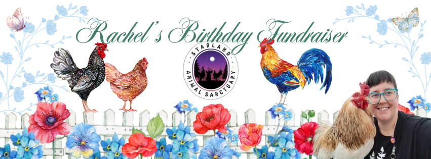 Campaign cover image for Rachel's Birthday Fundraiser