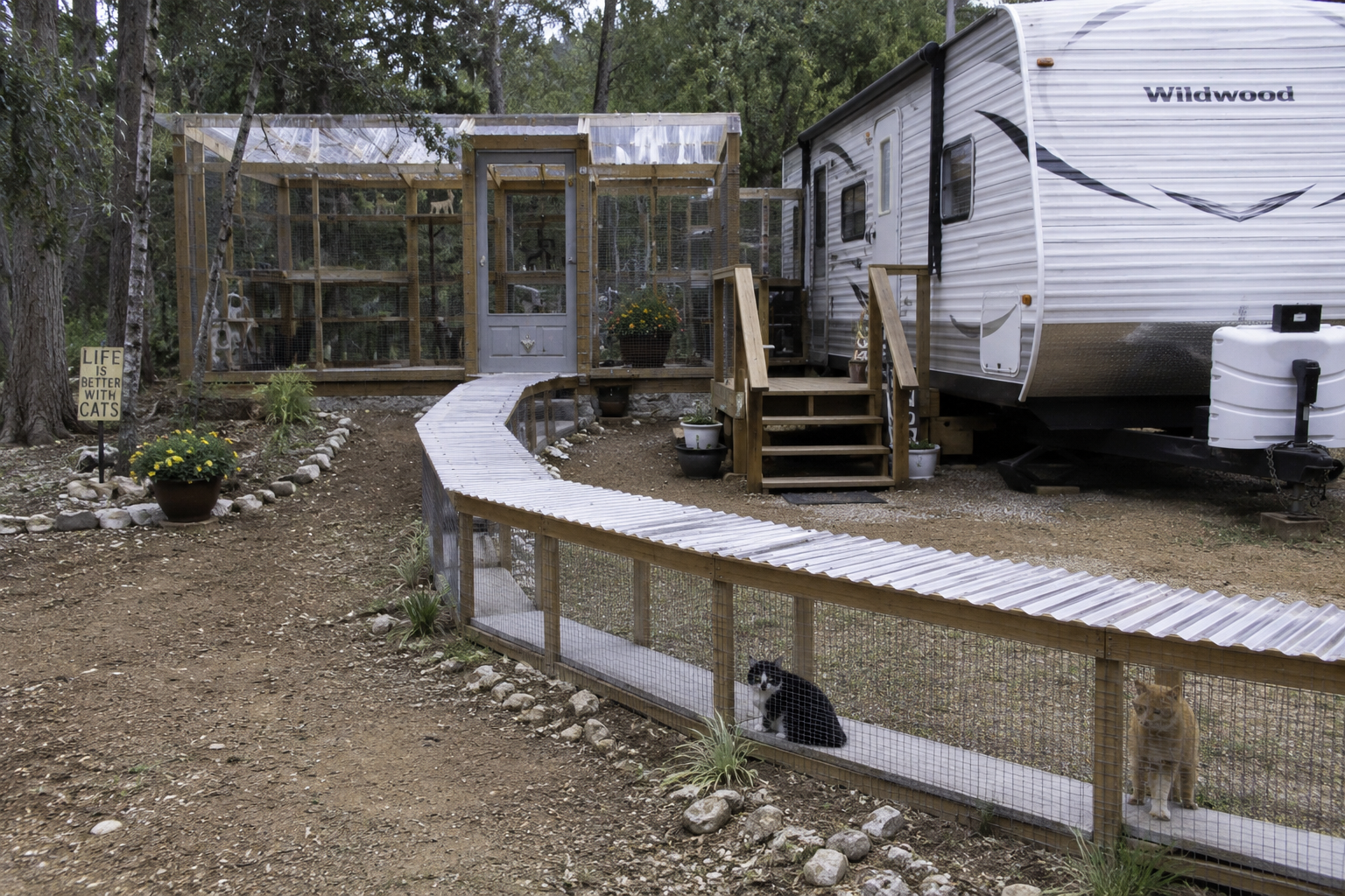 Campaign cover for Senior Cat House and Catio Expansion