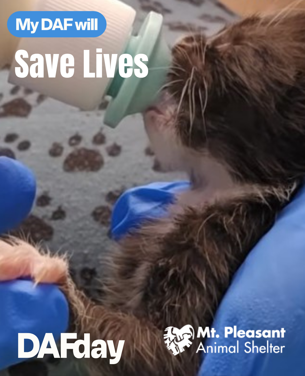 Campaign cover for DAF to the Rescue