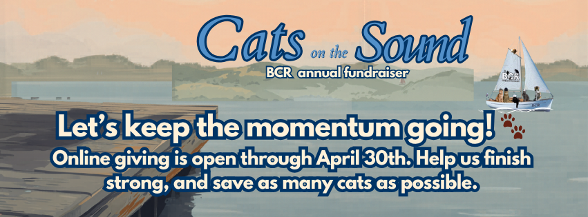 Campaign cover image for CATS on the SOUND! Campaign ends April 30!
