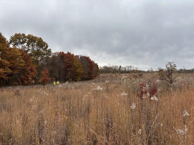 Campaign cover image for PLT Annual Giving 2025