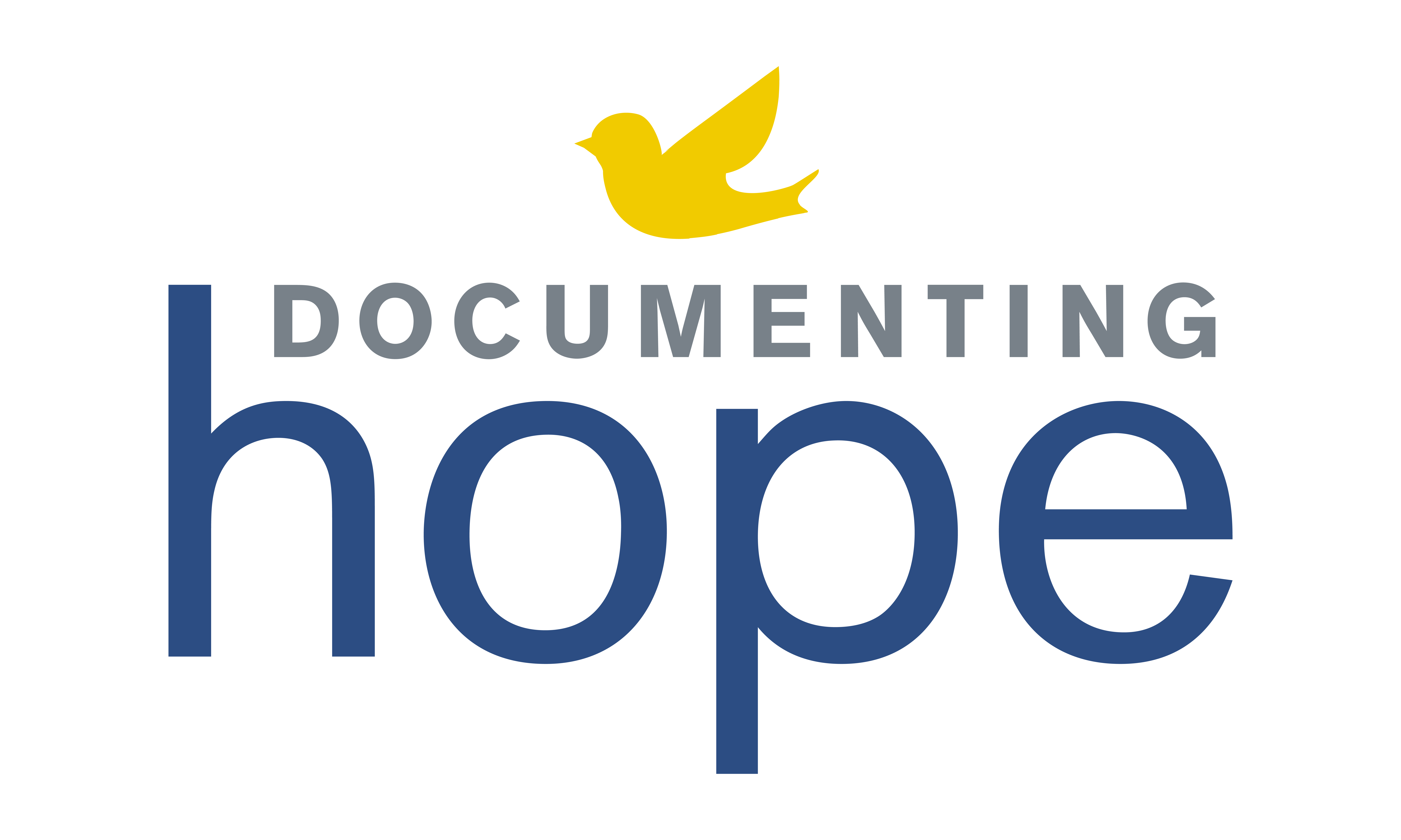 Campaign cover image for 2025 Documenting Hope Online Auction