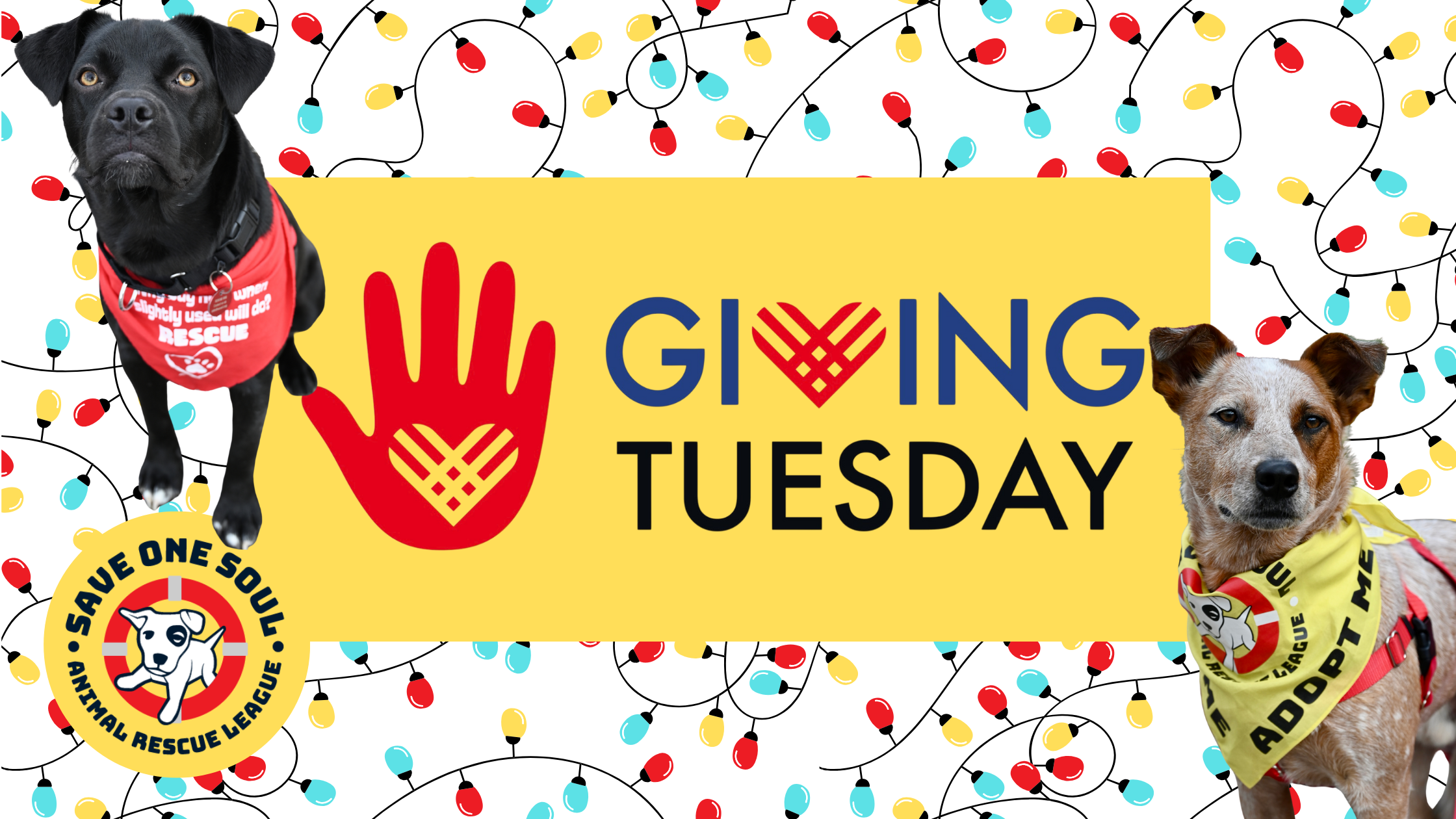 Campaign cover image for Giving Tuesday 2025