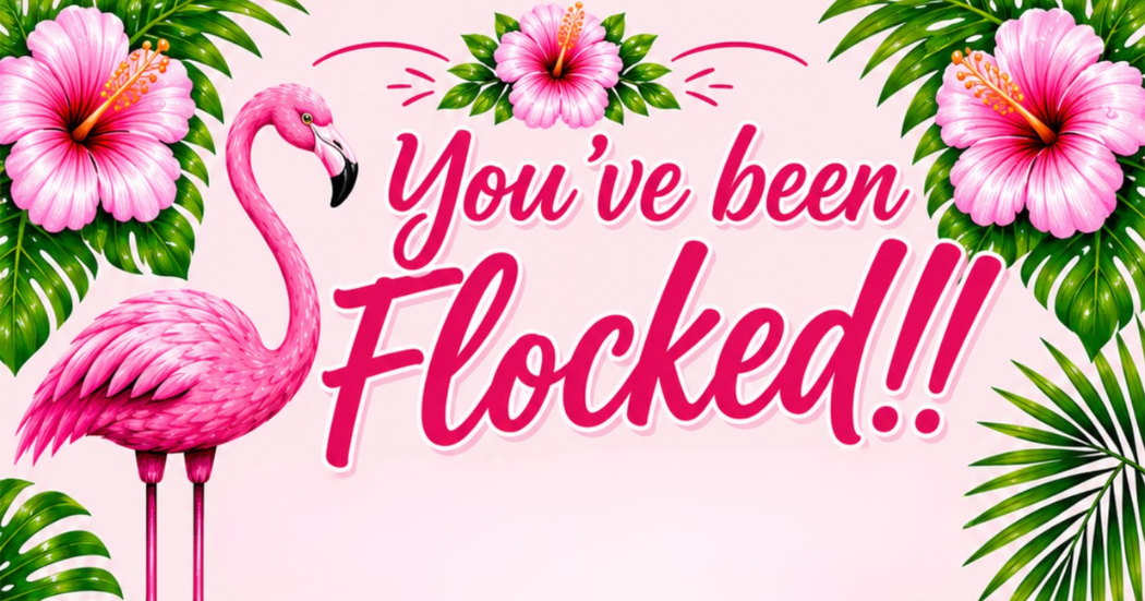 Campaign cover image for You've Been Flocked!!!