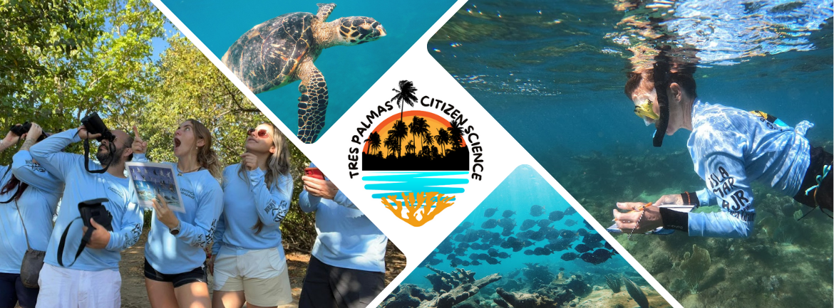 Campaign cover image for Citizen Science