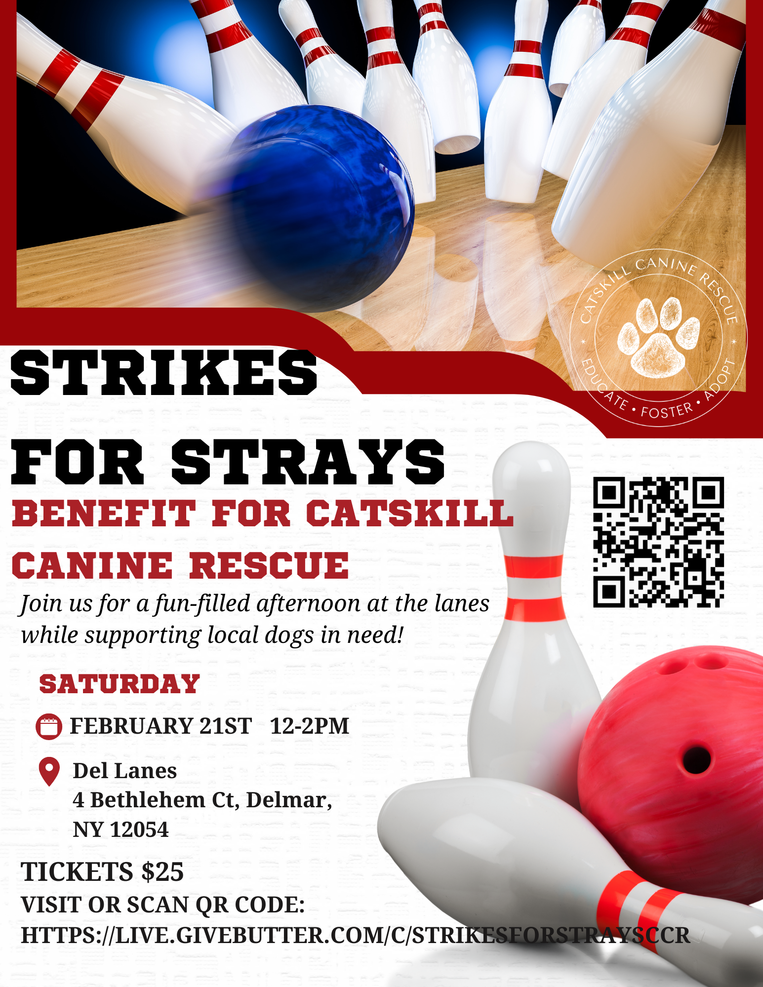 Campaign cover image for Strikes for Strays