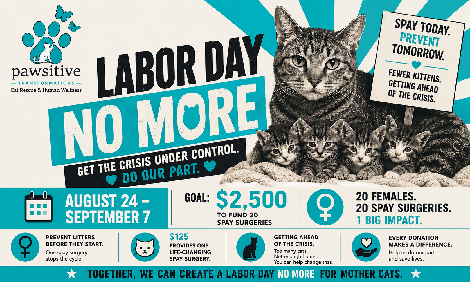 Campaign cover image for Labor Day No More