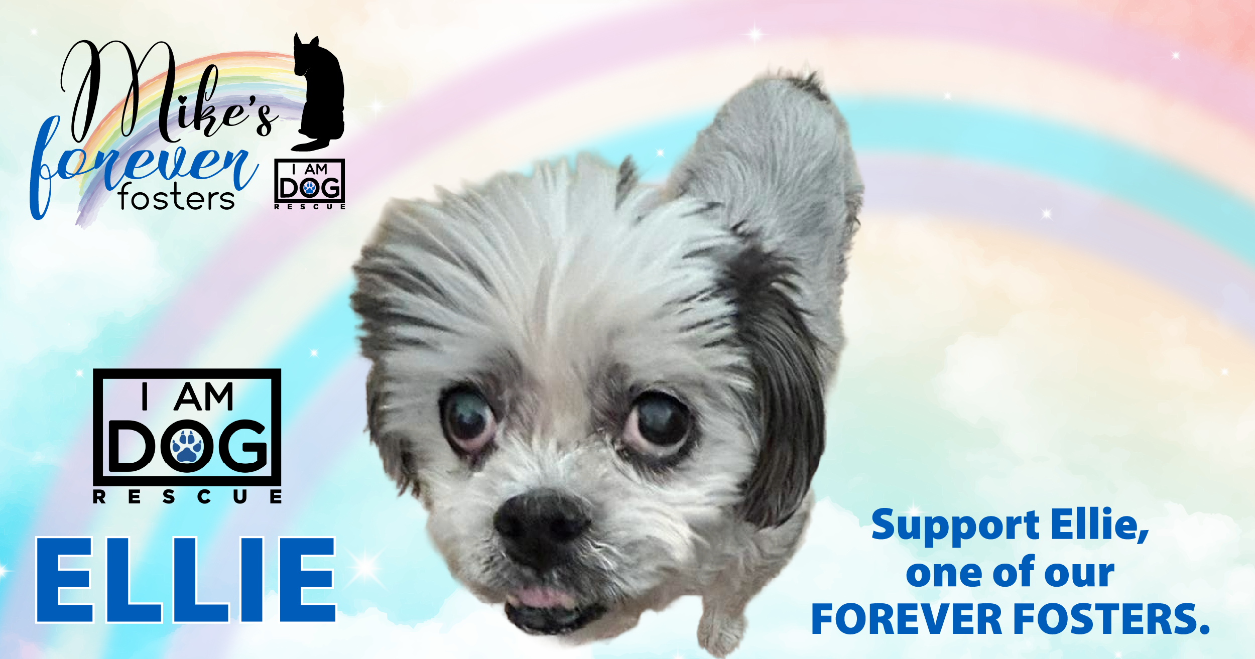 Campaign cover image for Donate for Forever Foster Ellie