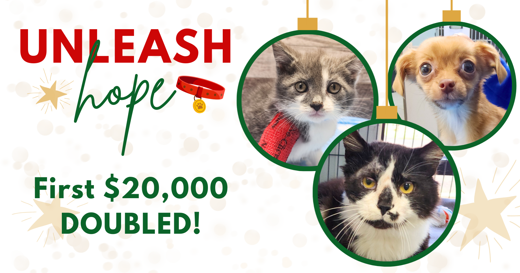 Campaign cover image for Unleash Hope 2025