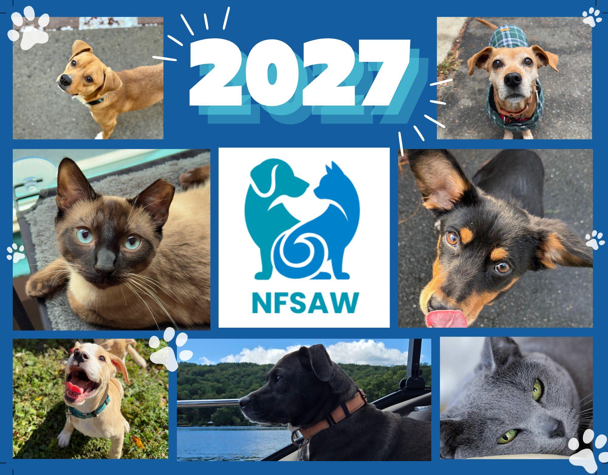 Campaign cover image for 2027 NFSAW Calendar Purchase