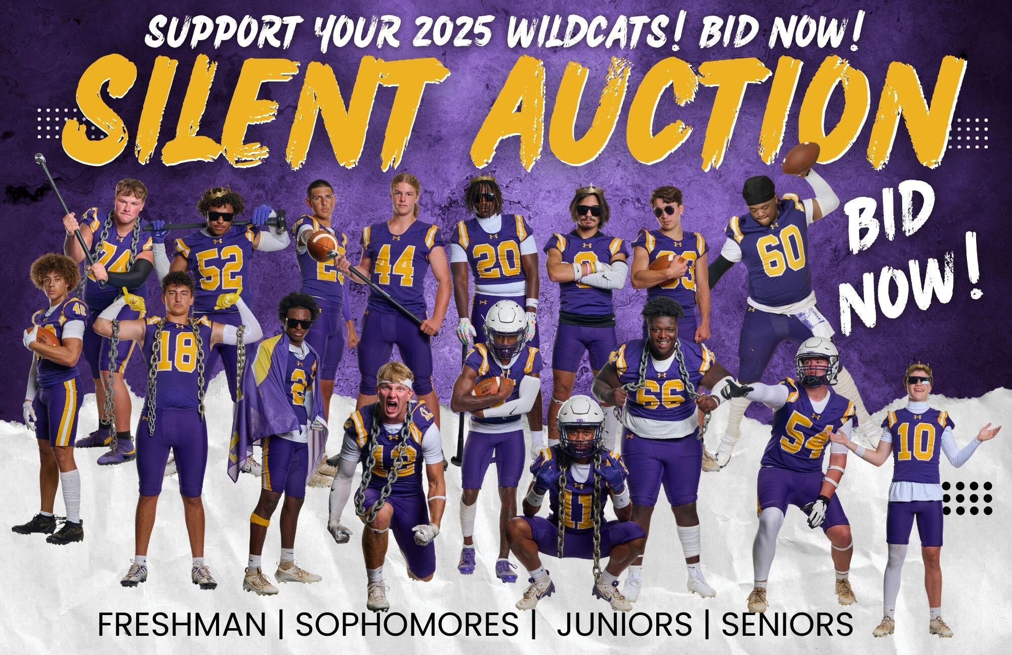 Campaign cover image for 2025 - Wildcat Touchdown Club Silent Auction