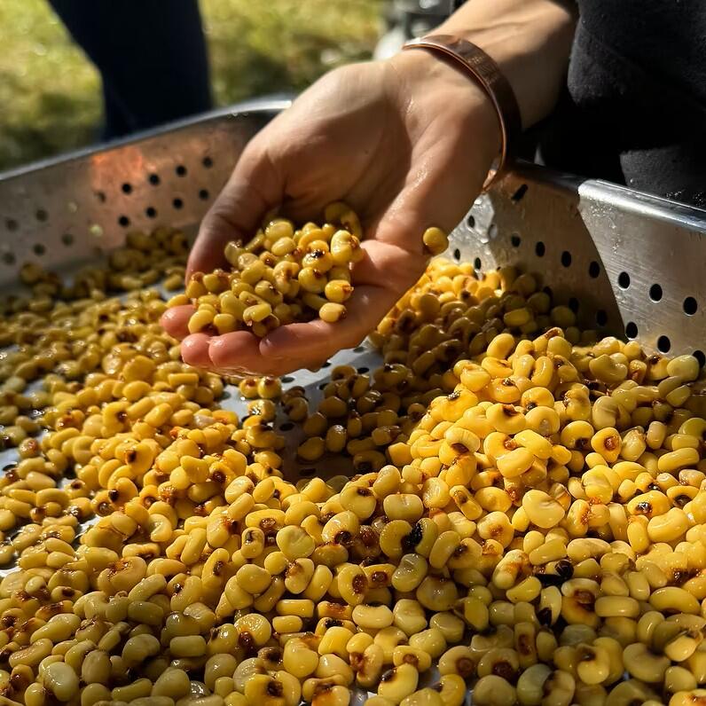 Campaign cover image for Nipmuc Community Land Project