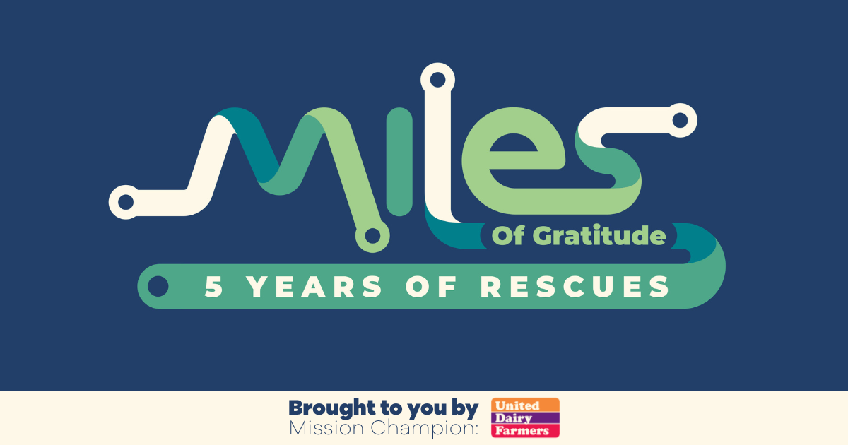 Campaign cover image for Miles of Gratitude - 5 Year Anniversary Celebration
