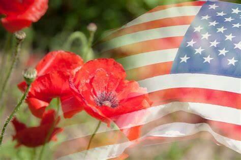 Campaign cover image for "VIRTUAL" POPPY DISTRIBUTION MEMORIAL DAY 2025