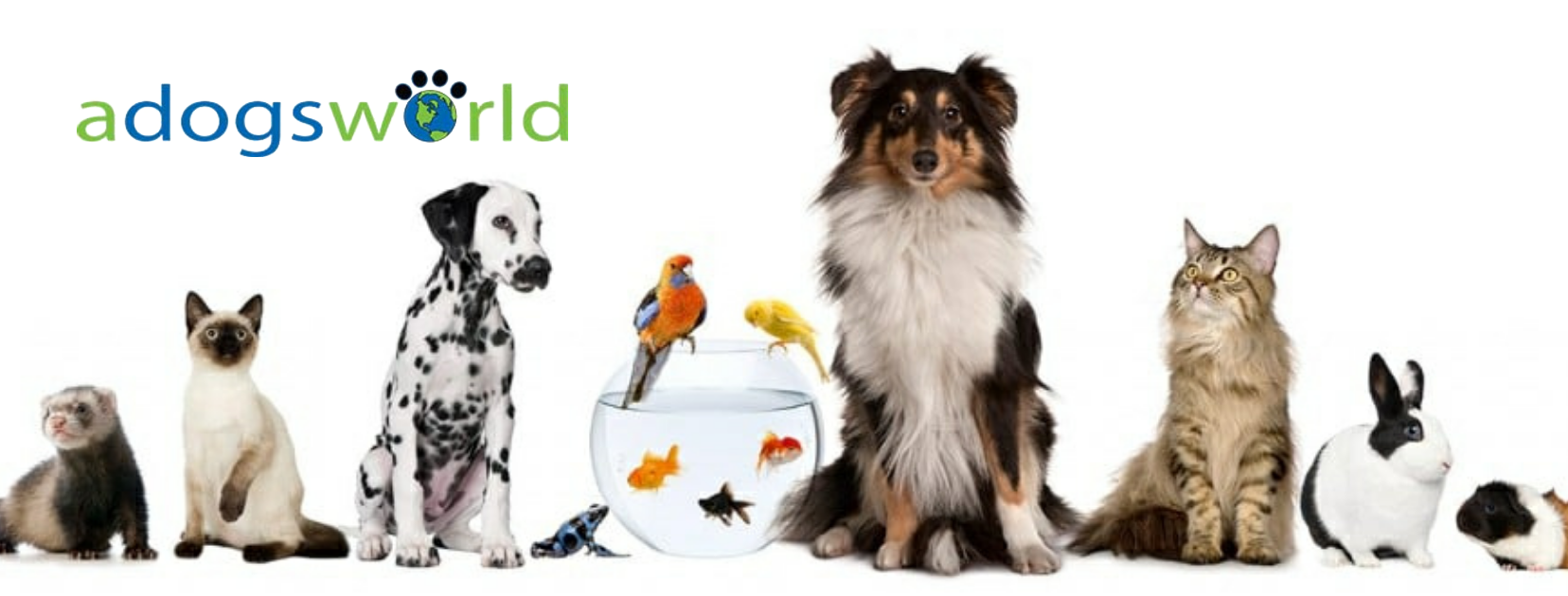 Campaign cover image for Keep Roxborough Woof-Tastic!