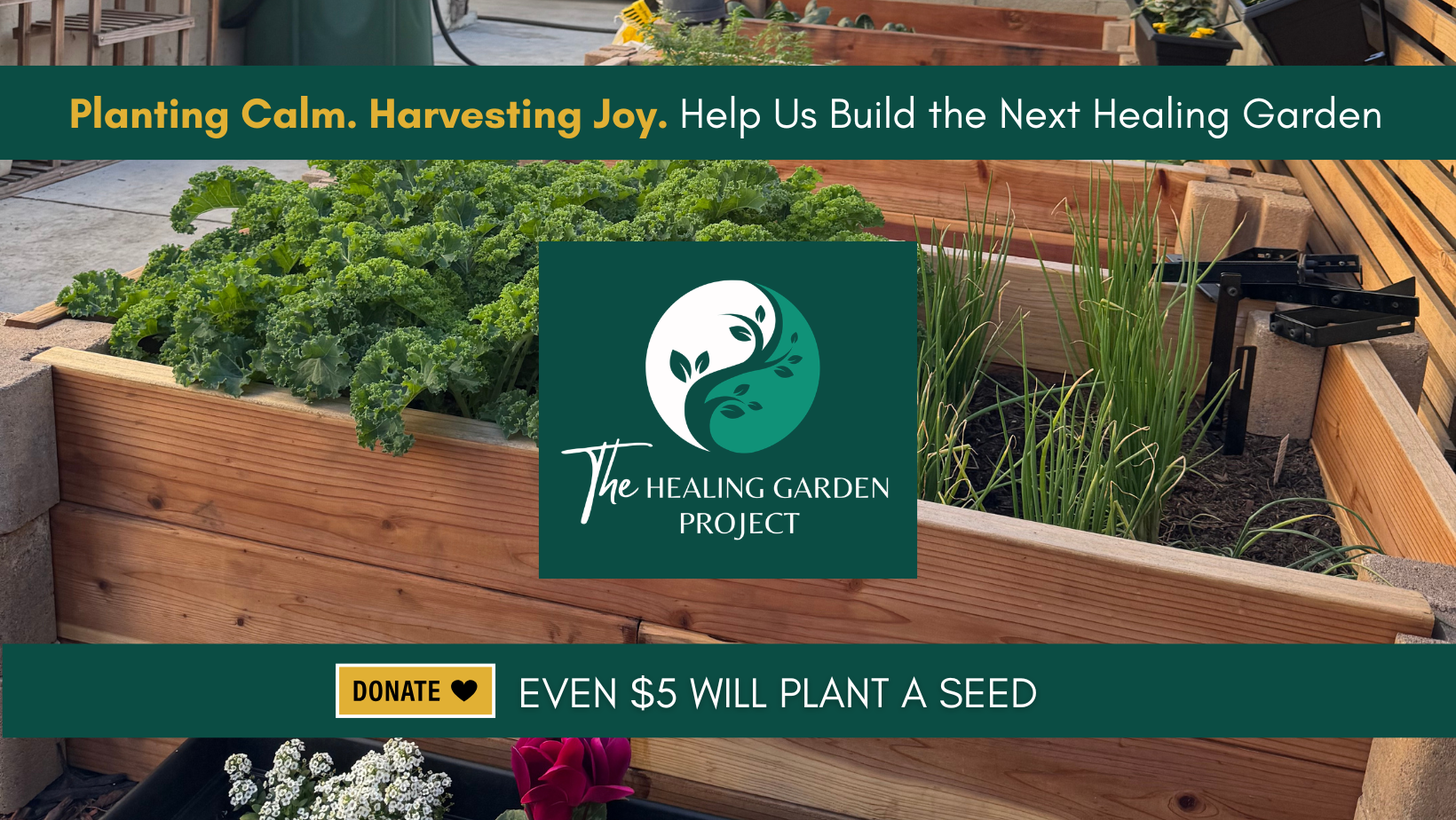 Campaign cover image for Plant to Heal: Growing Food, Wellness & Community