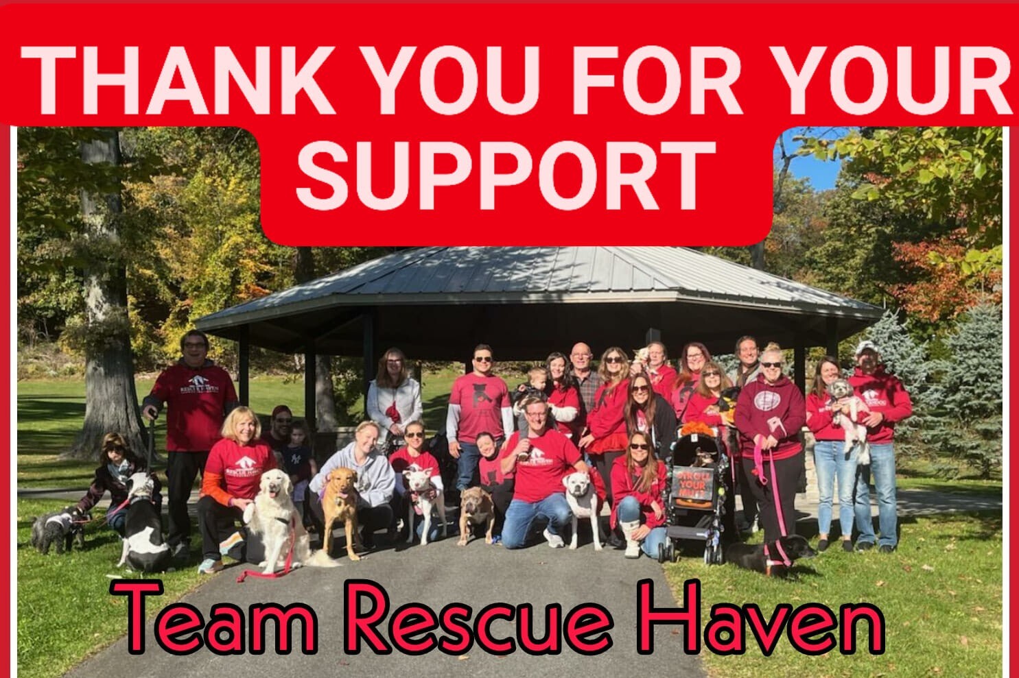 Campaign cover image for Strut Your Mutt