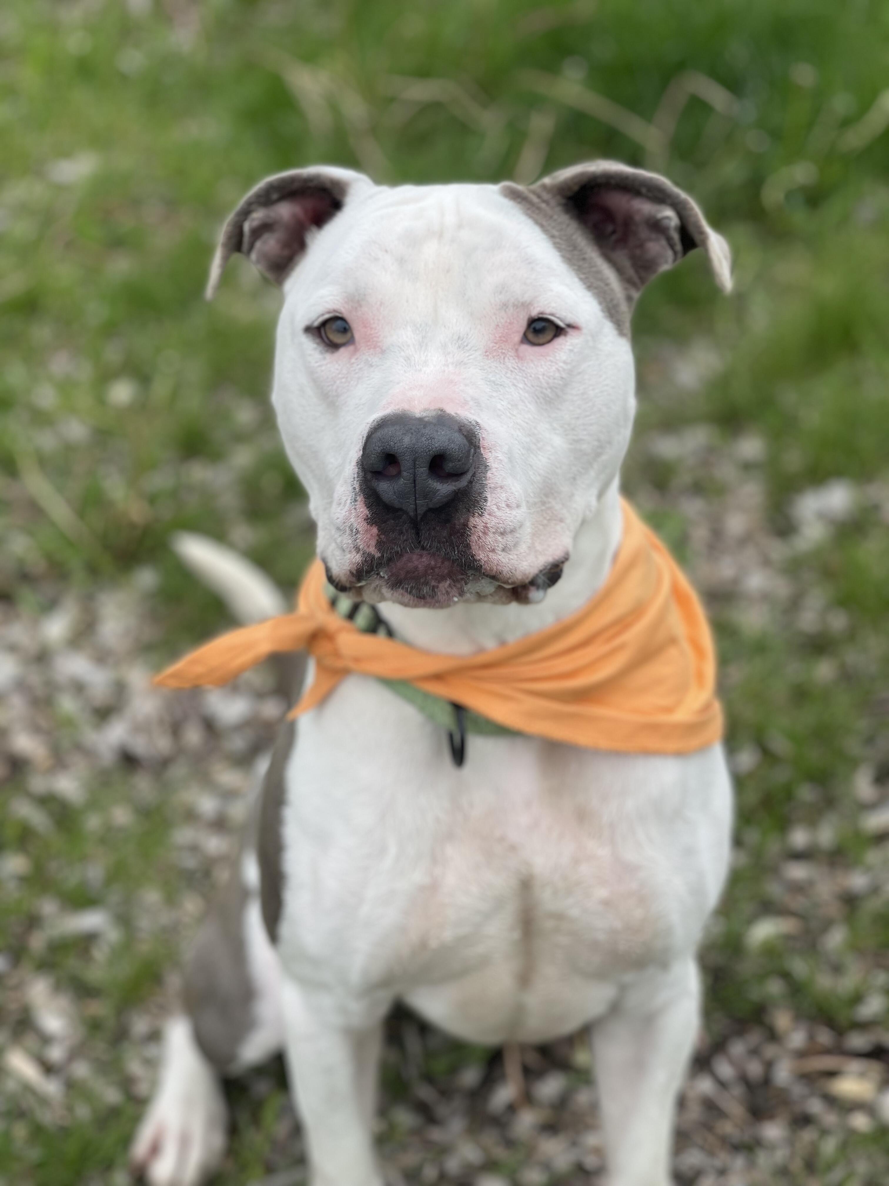 Campaign cover image for General Donations