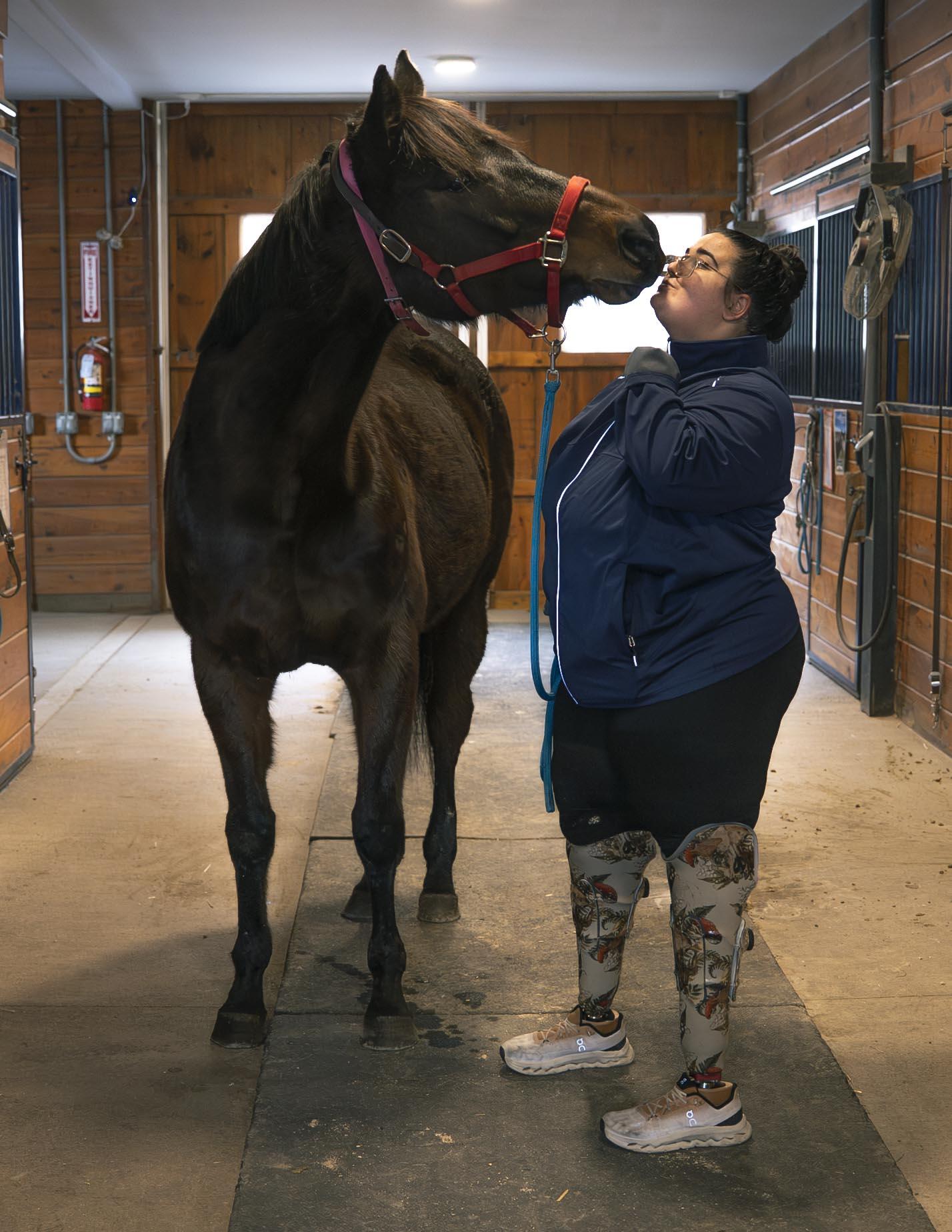 Campaign cover image for Sponsor a Horse