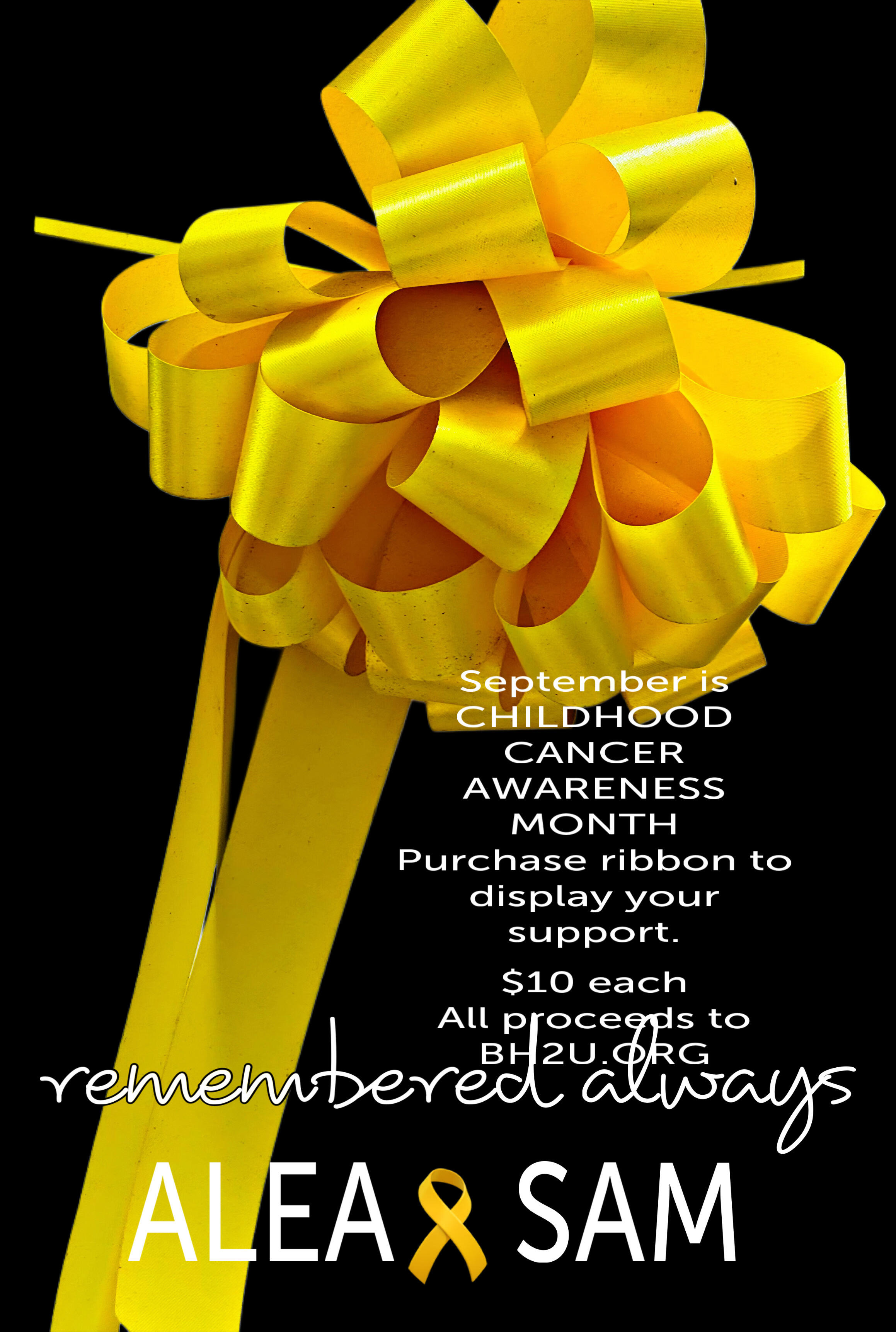 Campaign cover image for PAINT THE TOWN GOLD  FOR SEPTEMBER