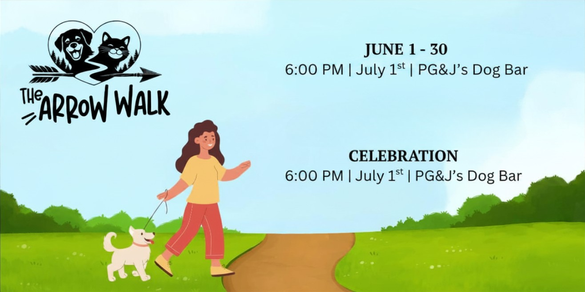 Campaign cover image for The Arrow Walk