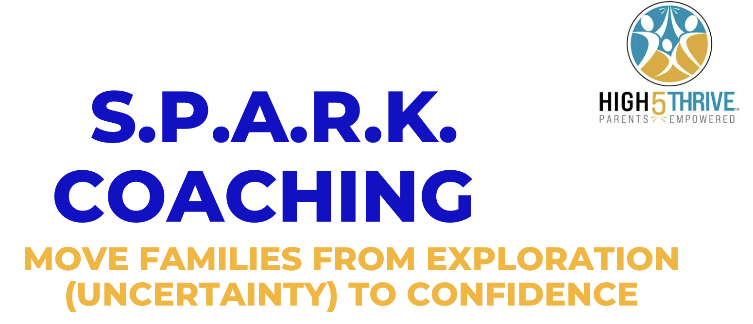 Campaign cover image for S. P. A. R. K. Career Readiness & Confidence Experience
