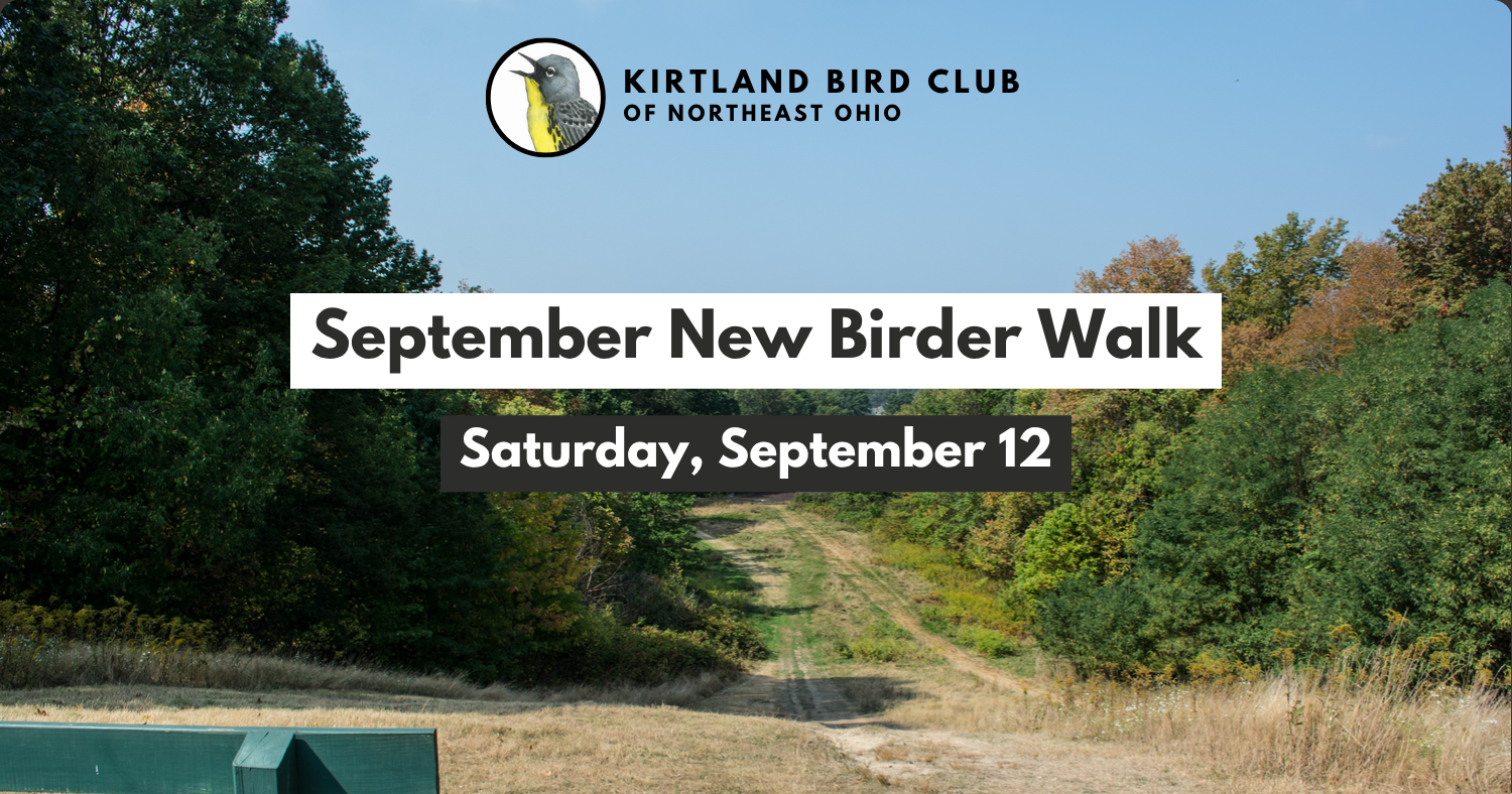 Campaign cover image for September New Birder Walk