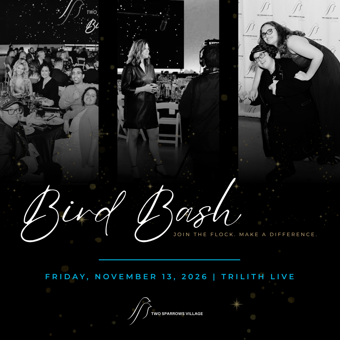 Campaign cover image for Two Sparrows Village Bird Bash 2026!