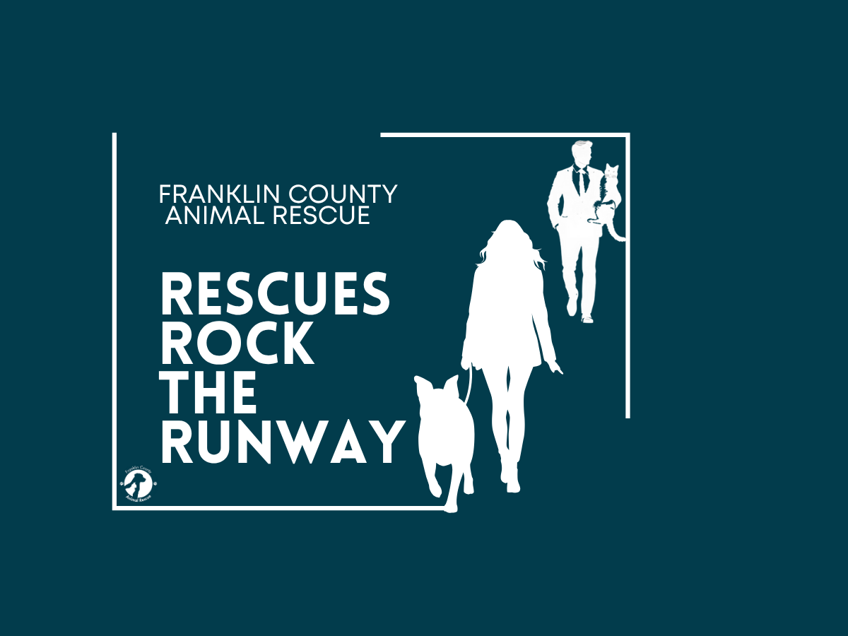 Campaign cover image for Rescues Rock The Runway!