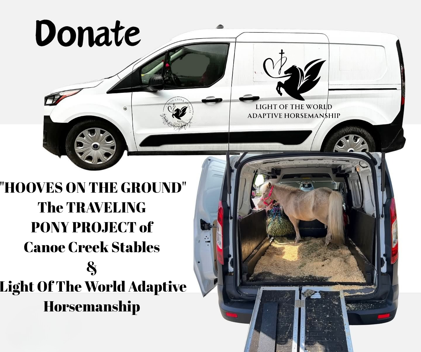 Campaign cover image for "Hooves On The Ground", The Traveling Therapy Pony Project