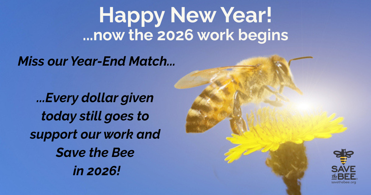 Campaign cover image for Match Campaign Complete - Miss the Match? You Can Still Support Save the Bee in 2026! Donate today