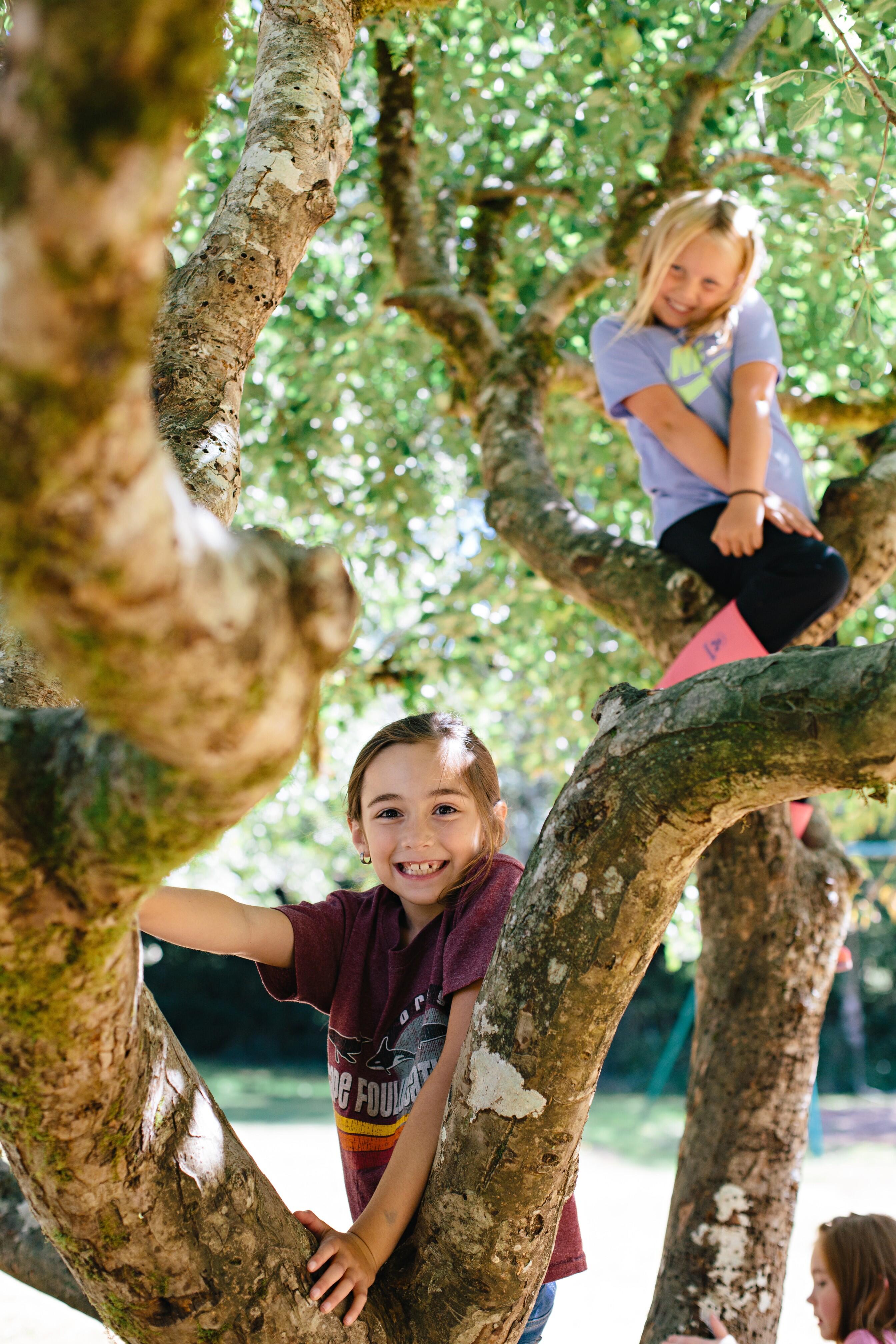 Campaign cover image for Financial Aid Program 2025-26