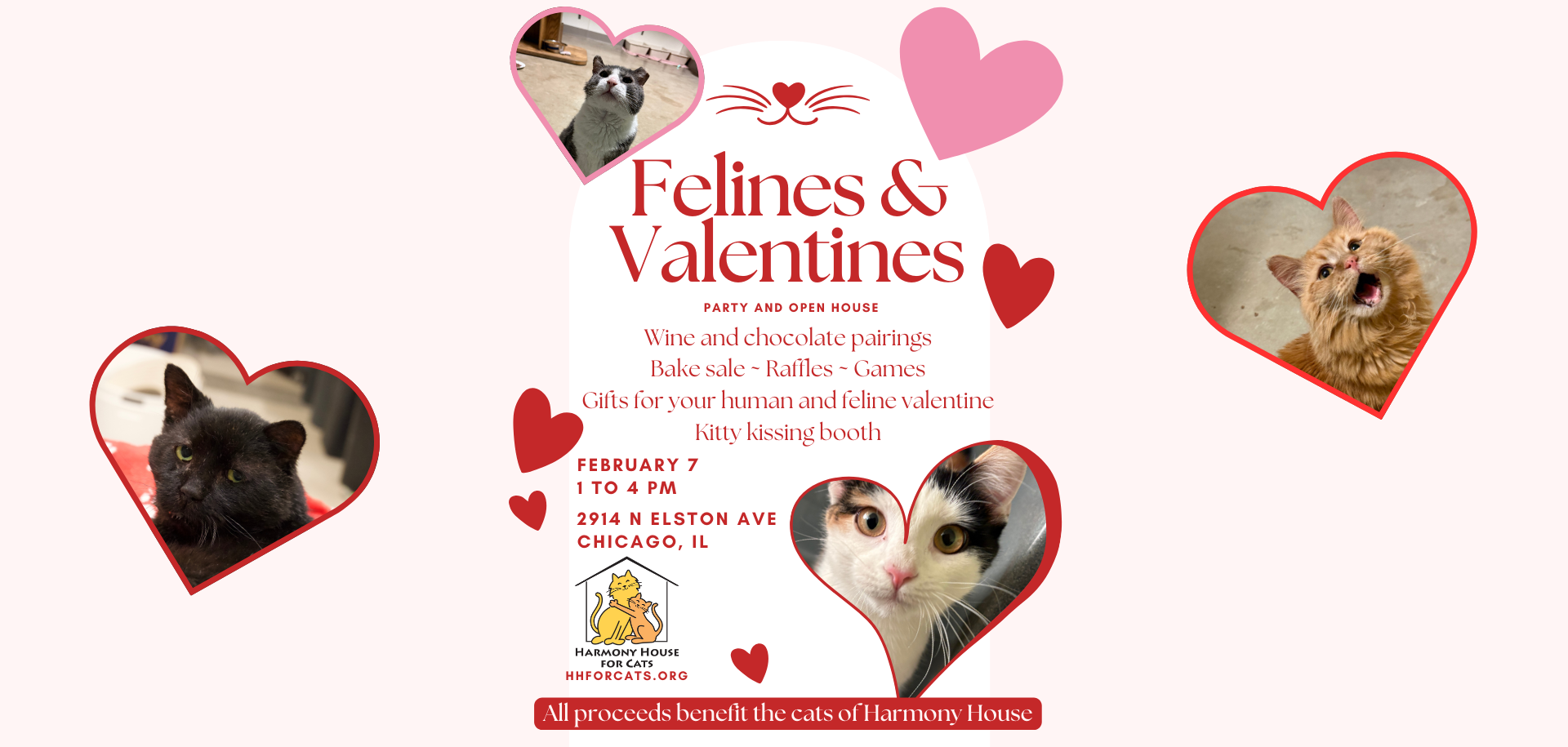 Campaign cover image for Felines & Valentines!