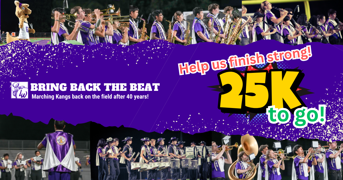 Campaign cover image for BRING BACK THE BEAT