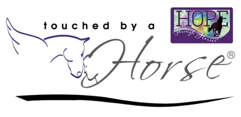 Campaign cover image for Hope Through Horses - Become a Champion for Hope!