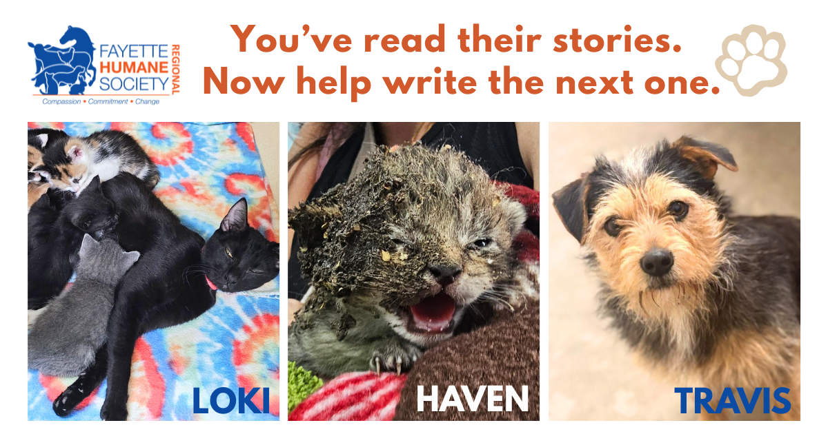 Campaign cover for Summer Newsletter 2026