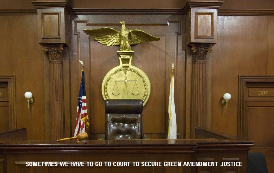 Campaign cover image for Time To Go To Court!